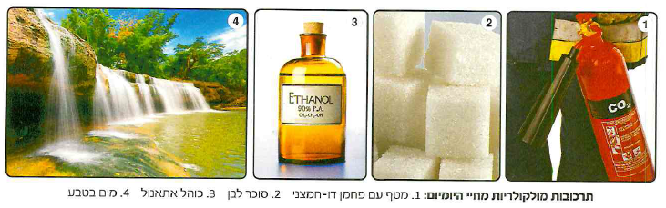 (בספר ארבע תמונות, היעזר במנחה)
